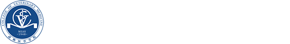 世俱杯